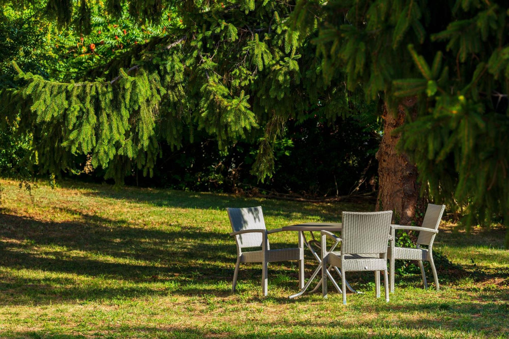 Logis Noemys Morgon Hotel Villié-Morgon Kültér fotó